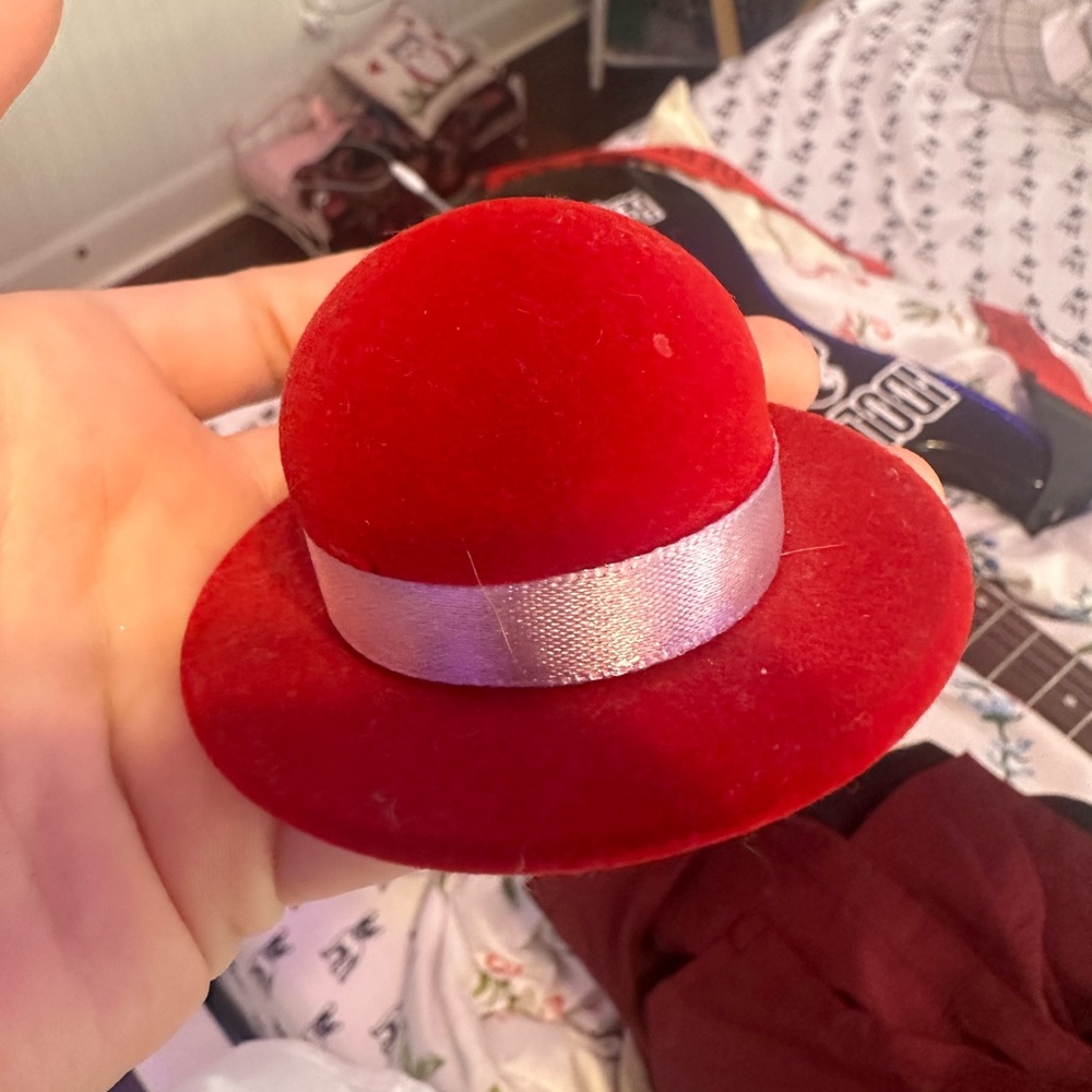 Hat earring holder